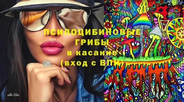 спиды Лагань