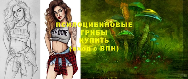 a pvp Лабытнанги
