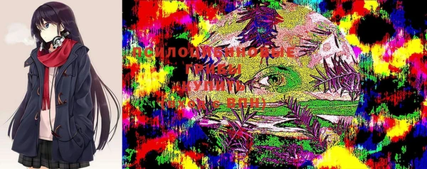 спиды Лагань