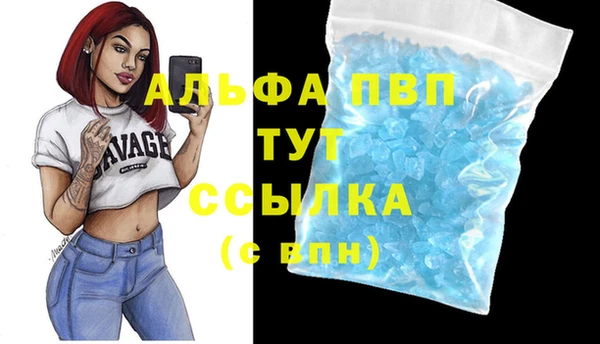 спиды Лагань